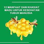 manfaat madu untuk tubuh