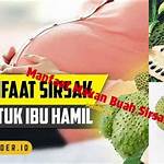 manfaat makan buah sirsak