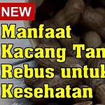 manfaat makan kacang tanah rebus