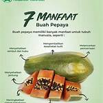 manfaat makan pepaya