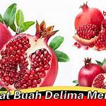 manfaat merah delima