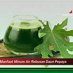 manfaat minum air rebusan daun pepaya