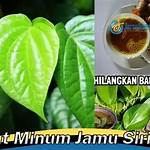 manfaat minum jamu sirih