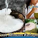 manfaat minum kelapa