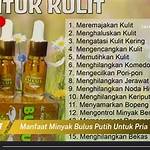 manfaat minyak bulus untuk pria