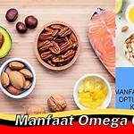 manfaat omega 6