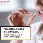 manfaat paracetamol untuk ibu menyusui