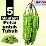manfaat petai untuk kecantikan