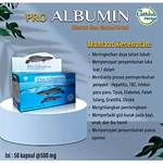 manfaat pro albumin ikan gabus