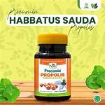 manfaat procumin propolis habbatussauda hpai