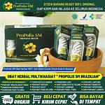 manfaat propolis brazilian