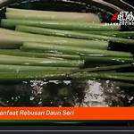 manfaat rebusan daun seri