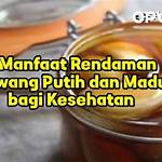 manfaat rendaman bawang putih dan madu