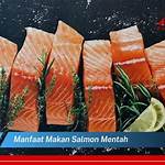 manfaat salmon mentah