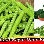 manfaat sayur kelor