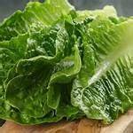 manfaat sayur romaine