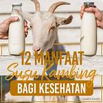 manfaat susu kambing