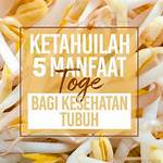 manfaat tauge bagi kesehatan
