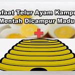 manfaat telur kampung dicampur madu