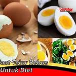 manfaat telur rebus diet