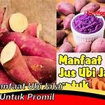 manfaat ubi jalar untuk promil