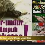 manfaat undur undur untuk pria