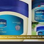 manfaat vaseline repairing jelly untuk bibir